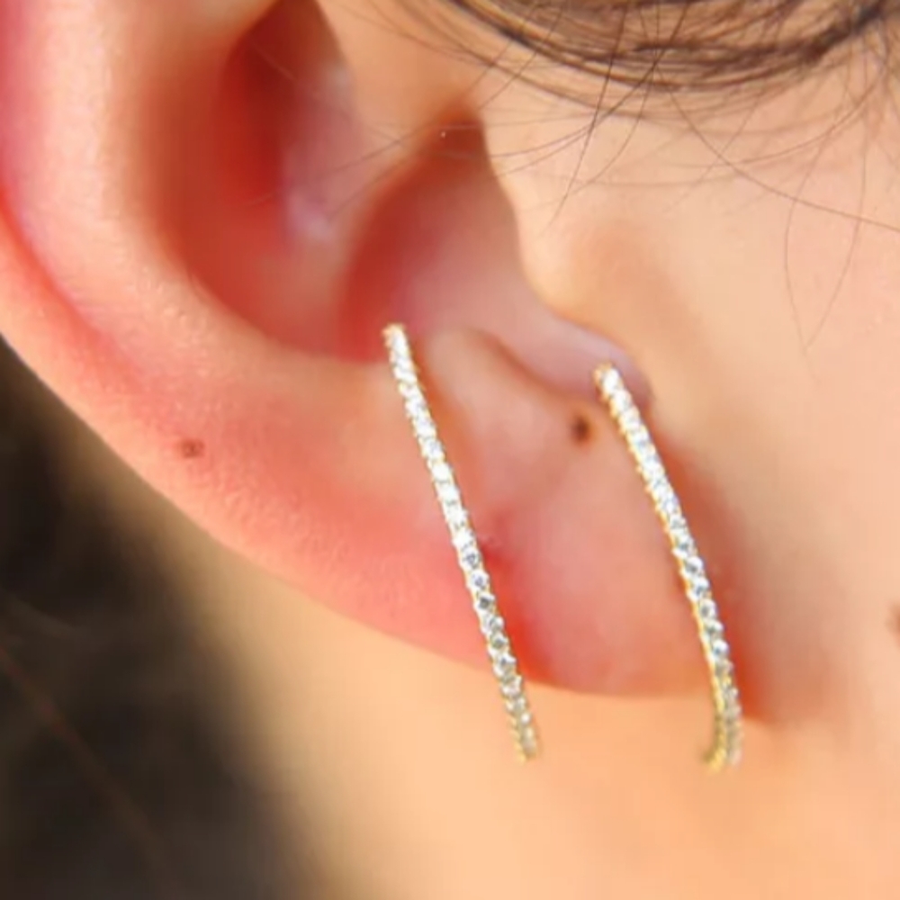 White Rhodium micro pave earrings - Picture 1 of 3